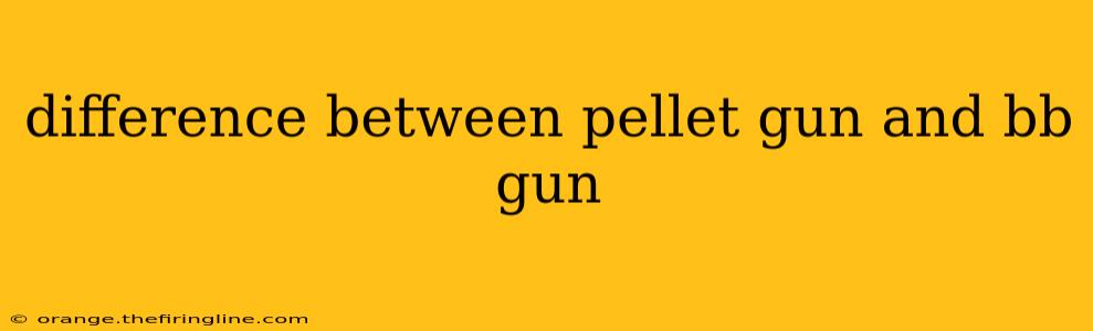 difference between pellet gun and bb gun