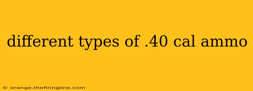 different types of .40 cal ammo