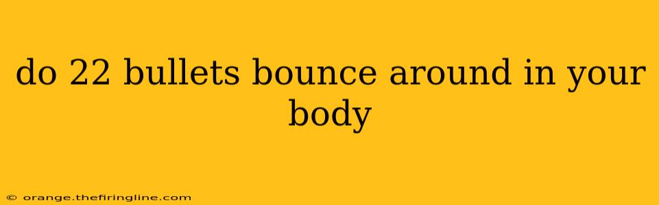 do 22 bullets bounce around in your body