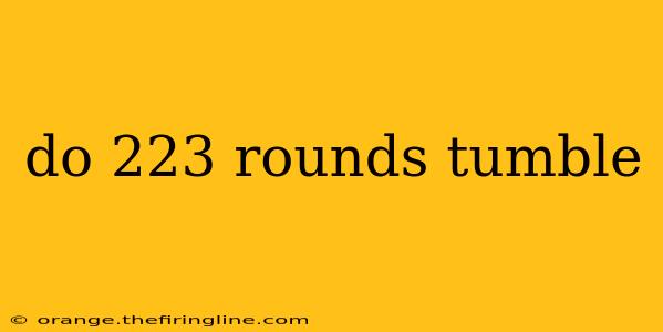 do 223 rounds tumble