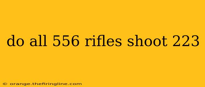 do all 556 rifles shoot 223