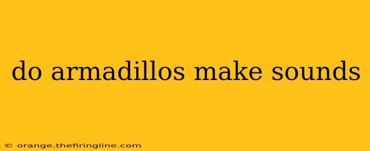 do armadillos make sounds