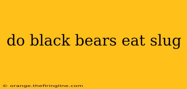 do black bears eat slug