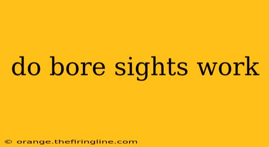 do bore sights work