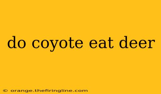 do coyote eat deer