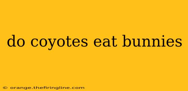 do coyotes eat bunnies