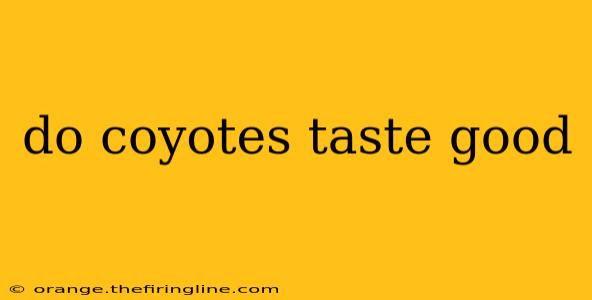 do coyotes taste good