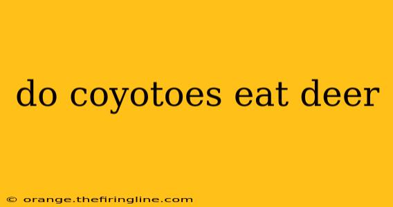 do coyotoes eat deer