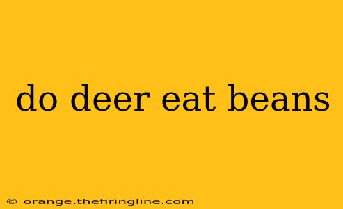 do deer eat beans