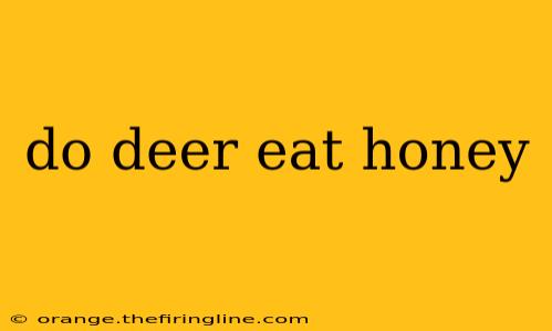 do deer eat honey