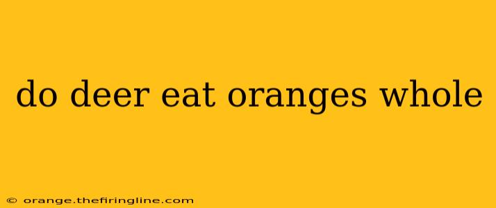 do deer eat oranges whole