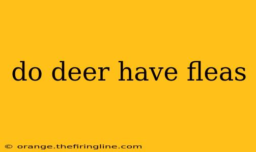 do deer have fleas