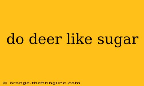 do deer like sugar