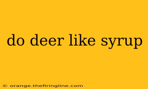 do deer like syrup