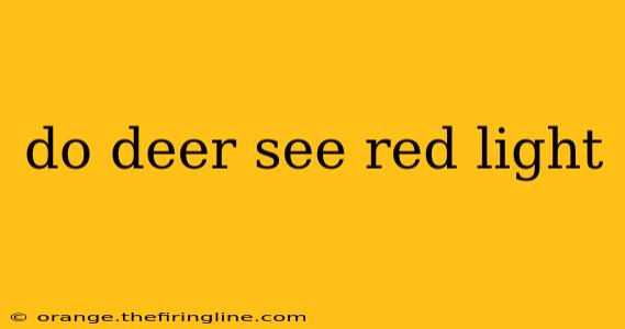 do deer see red light