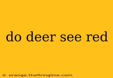 do deer see red