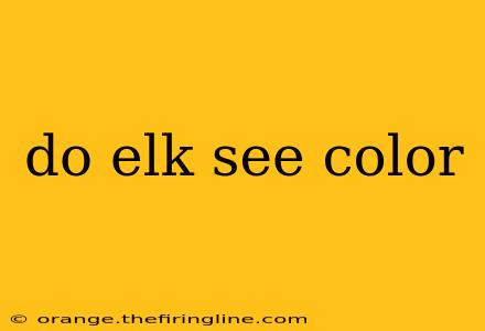 do elk see color