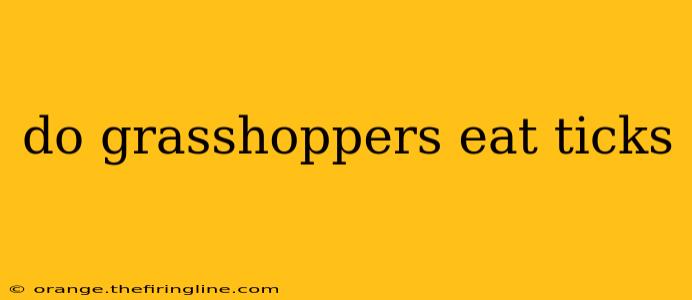 do grasshoppers eat ticks