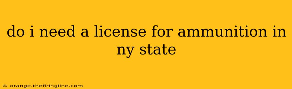 do i need a license for ammunition in ny state