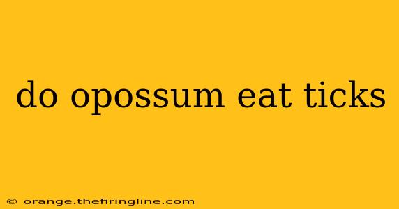 do opossum eat ticks