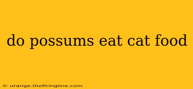 do possums eat cat food