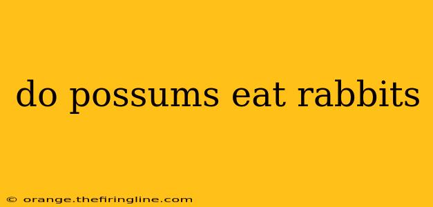 do possums eat rabbits