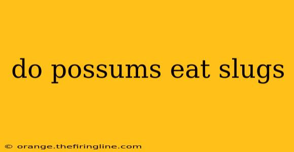 do possums eat slugs