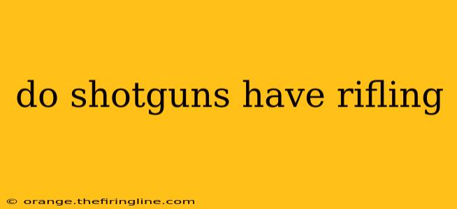 do shotguns have rifling