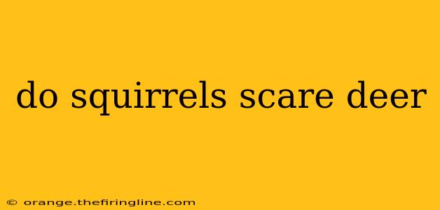 do squirrels scare deer