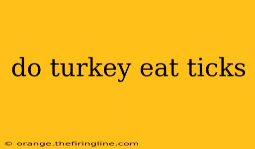 do turkey eat ticks