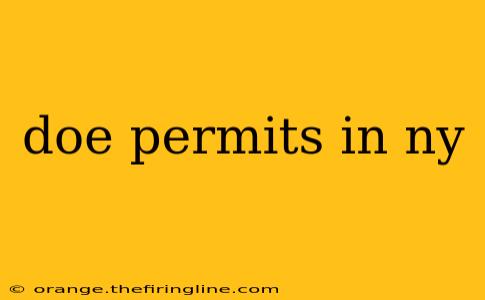 doe permits in ny