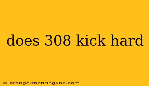 does 308 kick hard