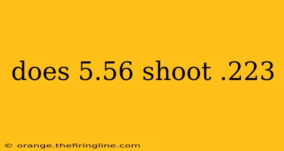 does 5.56 shoot .223