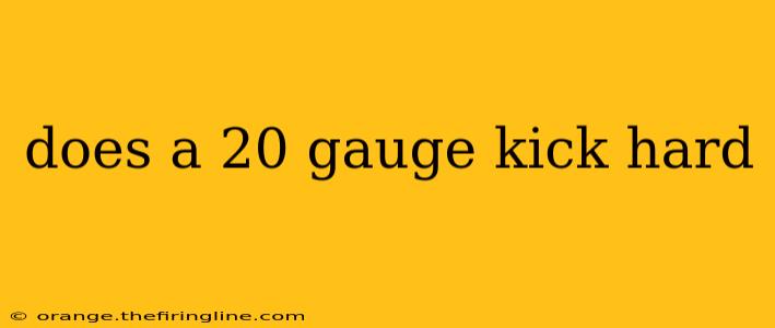 does a 20 gauge kick hard