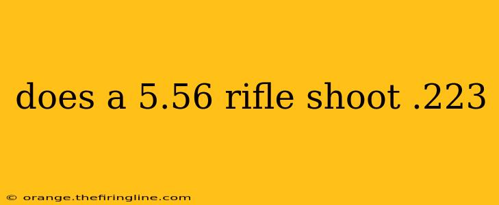 does a 5.56 rifle shoot .223