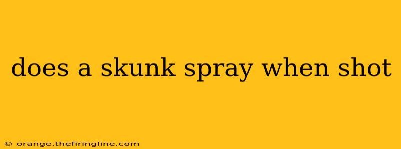 does a skunk spray when shot