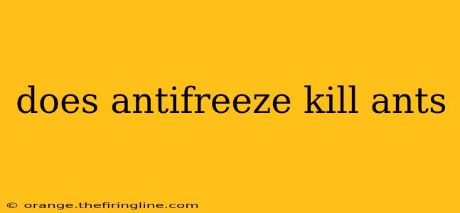 does antifreeze kill ants