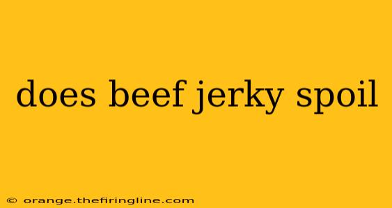 does beef jerky spoil