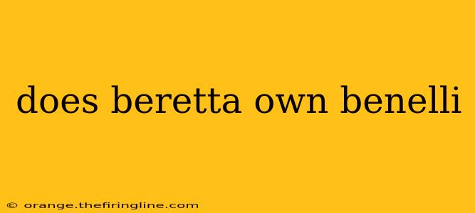 does beretta own benelli