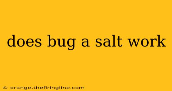 does bug a salt work