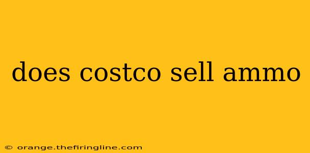 does costco sell ammo