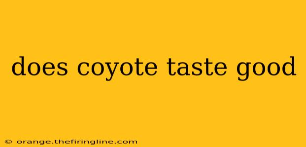 does coyote taste good