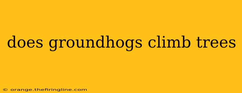 does groundhogs climb trees