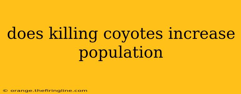 does killing coyotes increase population