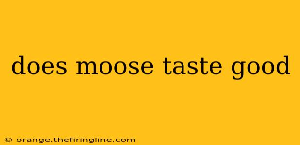 does moose taste good