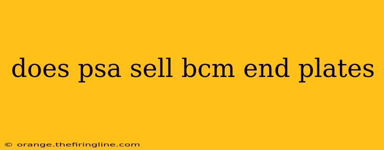 does psa sell bcm end plates