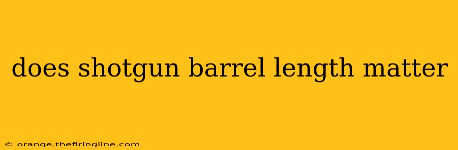 does shotgun barrel length matter