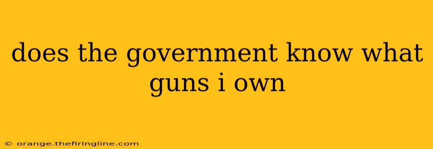 does the government know what guns i own