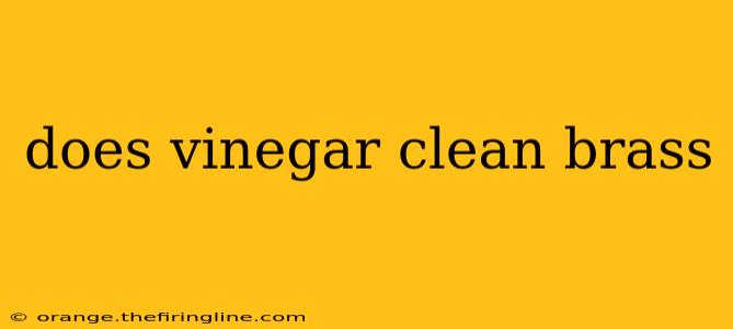 does vinegar clean brass