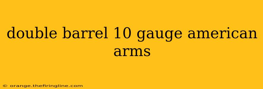 double barrel 10 gauge american arms